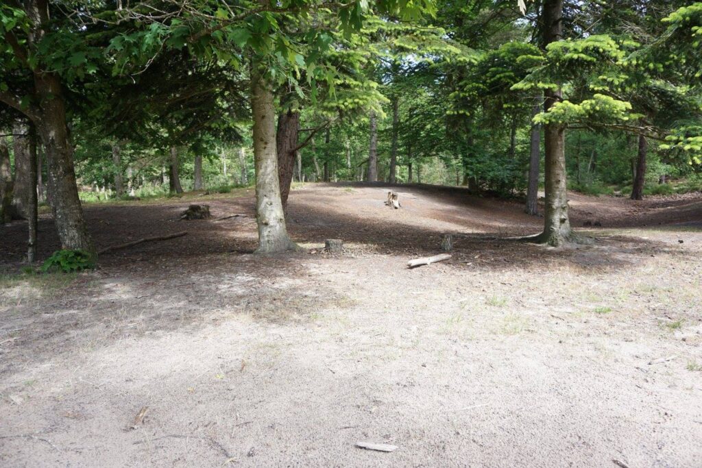 Fontainebleau Forest geology