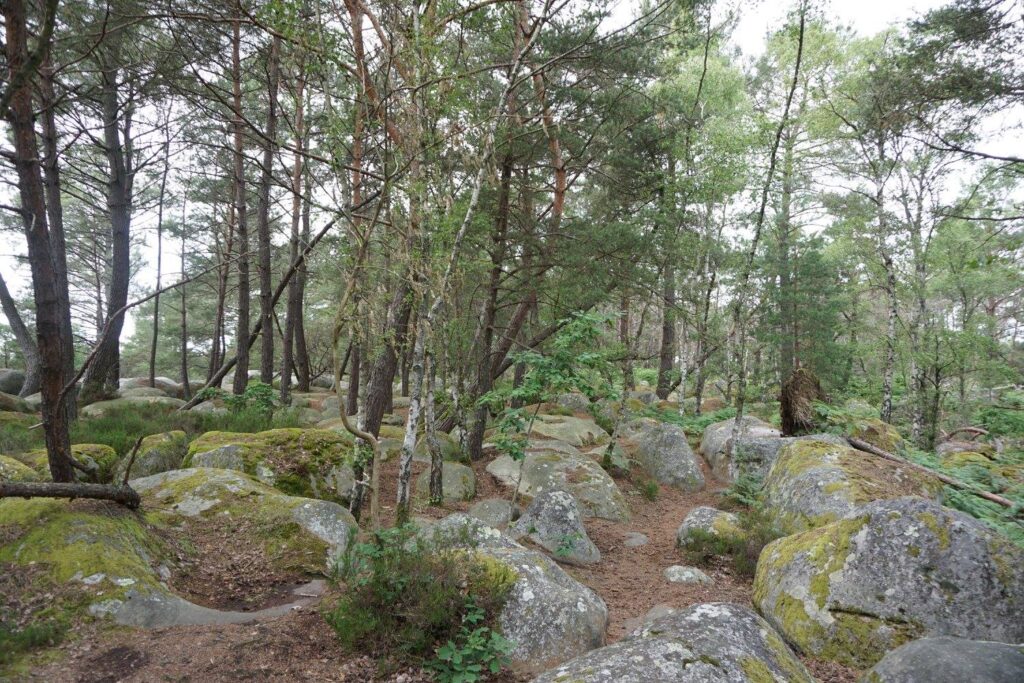 Gorge D Apremont, Foret de Fontainebleau