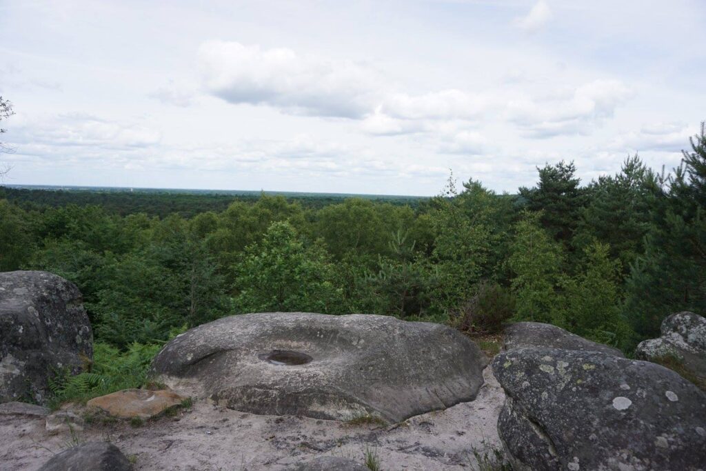 Foret de Fontainebleau