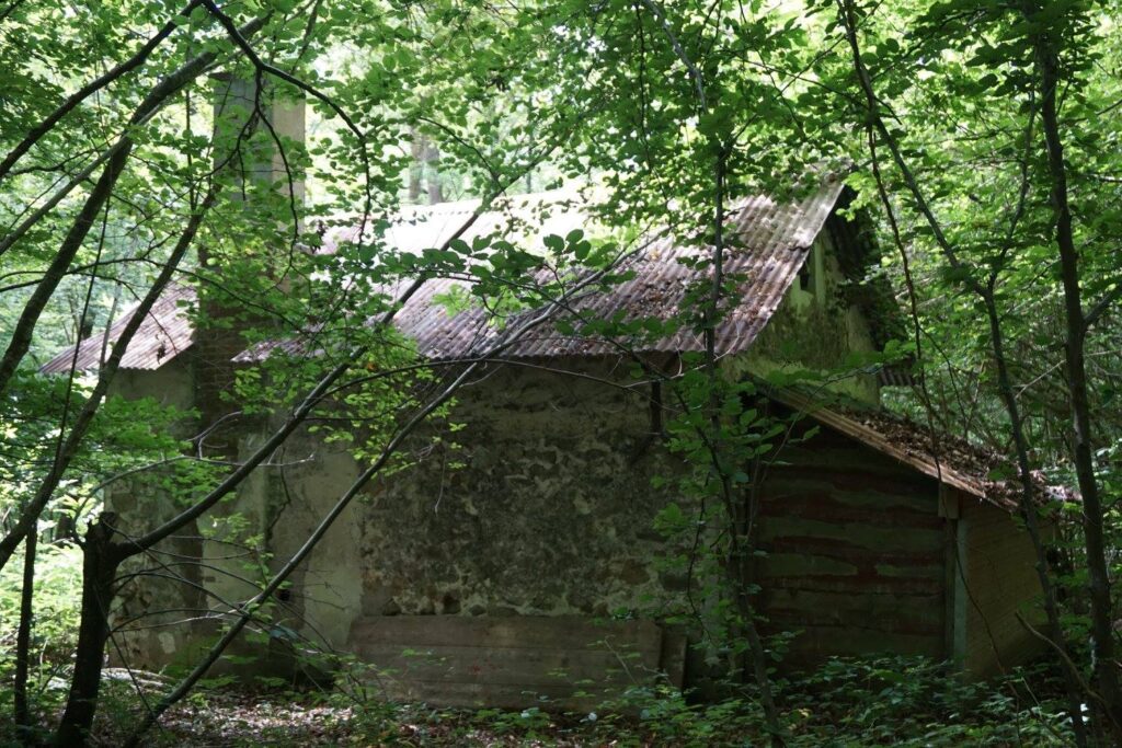 Foret de Rambouillet