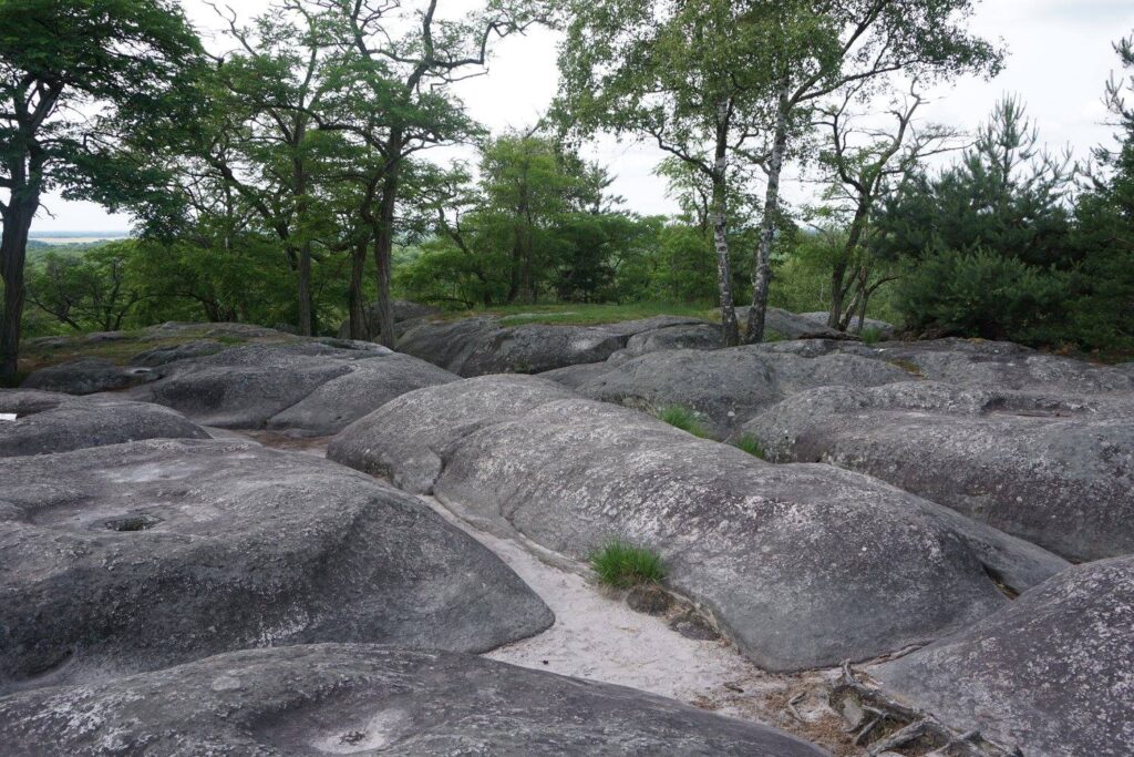 Gorge D Apremont, Forest of Fontainebleau
