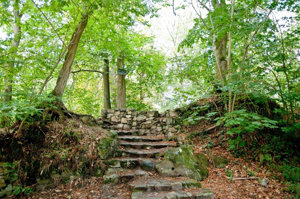 Trails of Fontainebleau forest