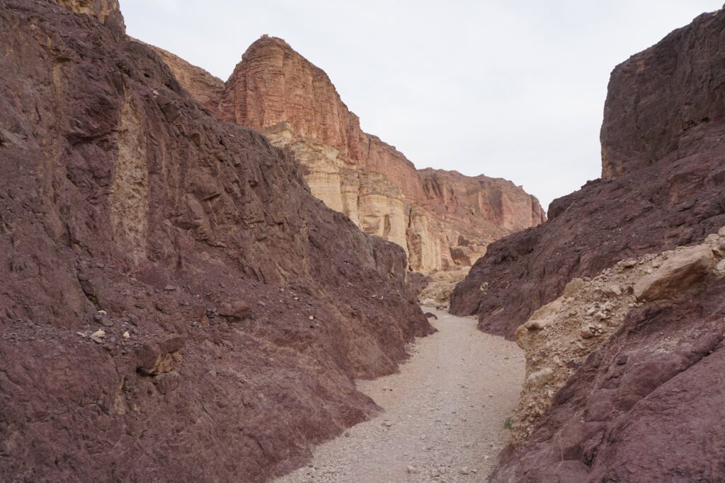 Lithological composition of Eilat mountains rocks