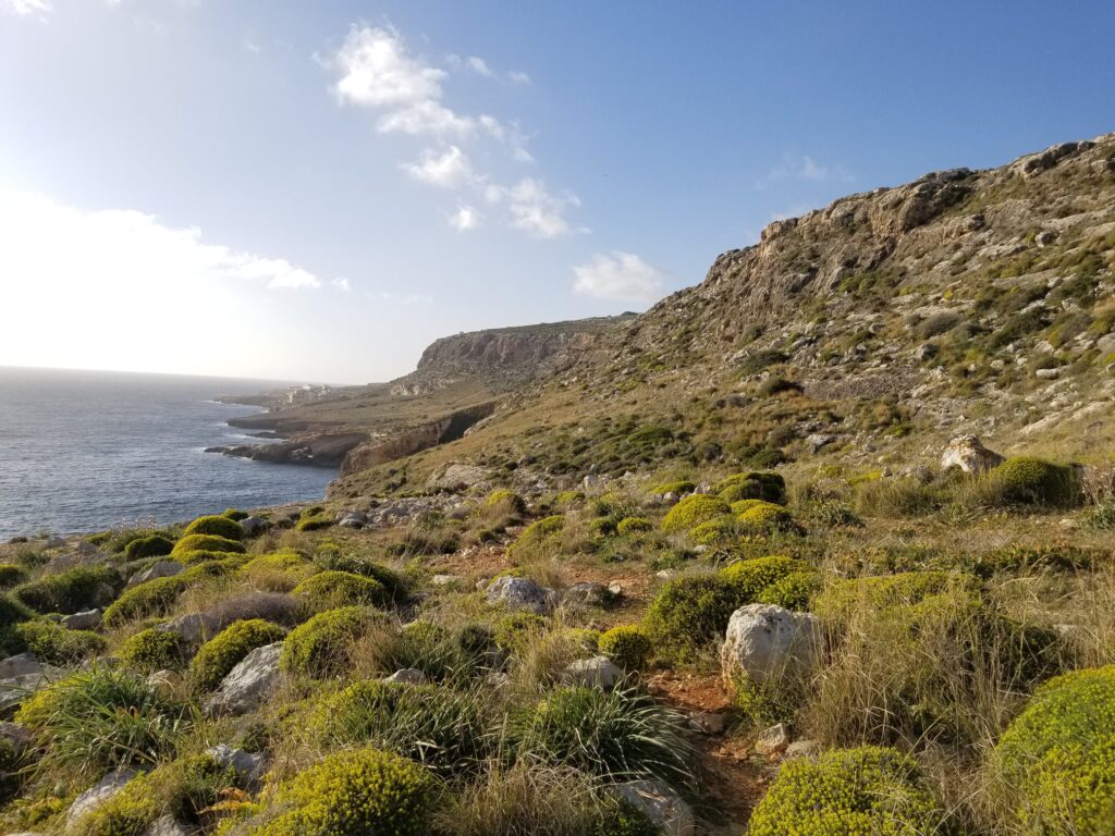 Coast of Malta