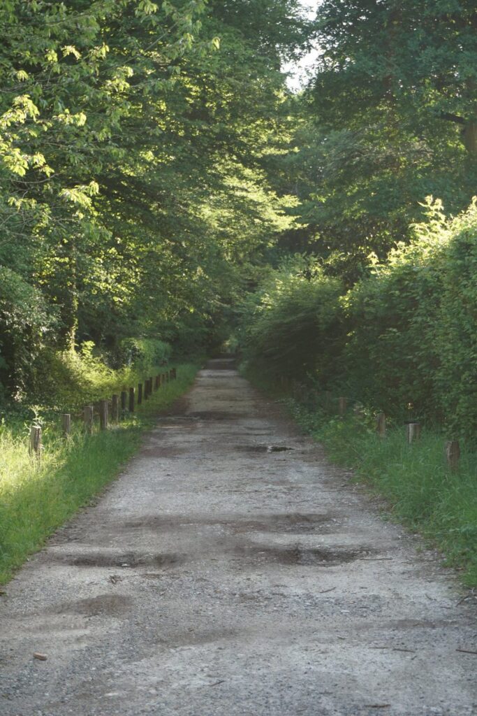 La route de Bourgogne, Fontainebleau, France