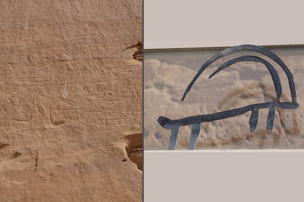 Nubian ibex rock drawing Timna Valley