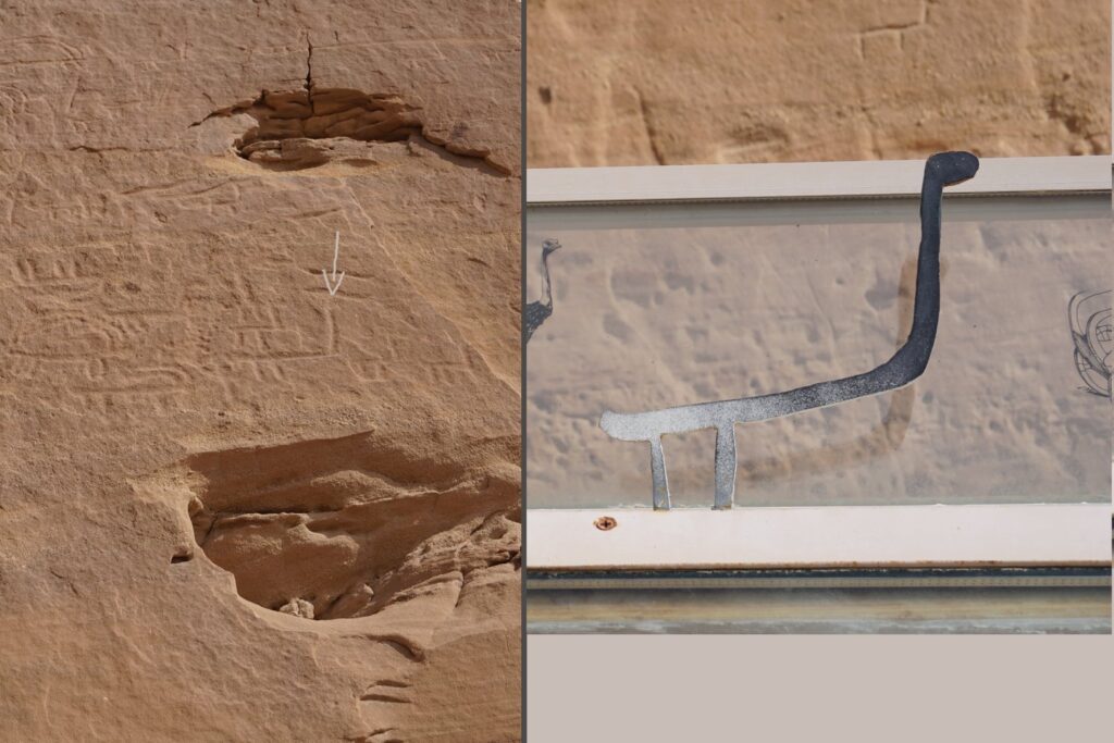 Ostrich rock drawing Timna