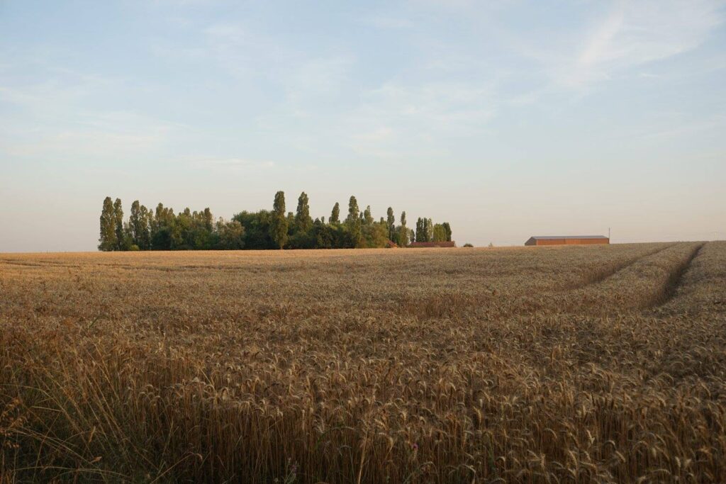 Le Perray-en-Yvelines