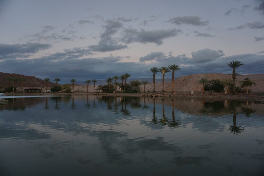 Oasis in Timna