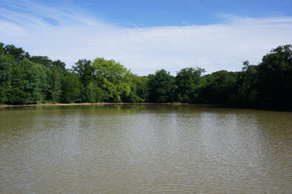 Etang de la Faisanderie, Rambouillet