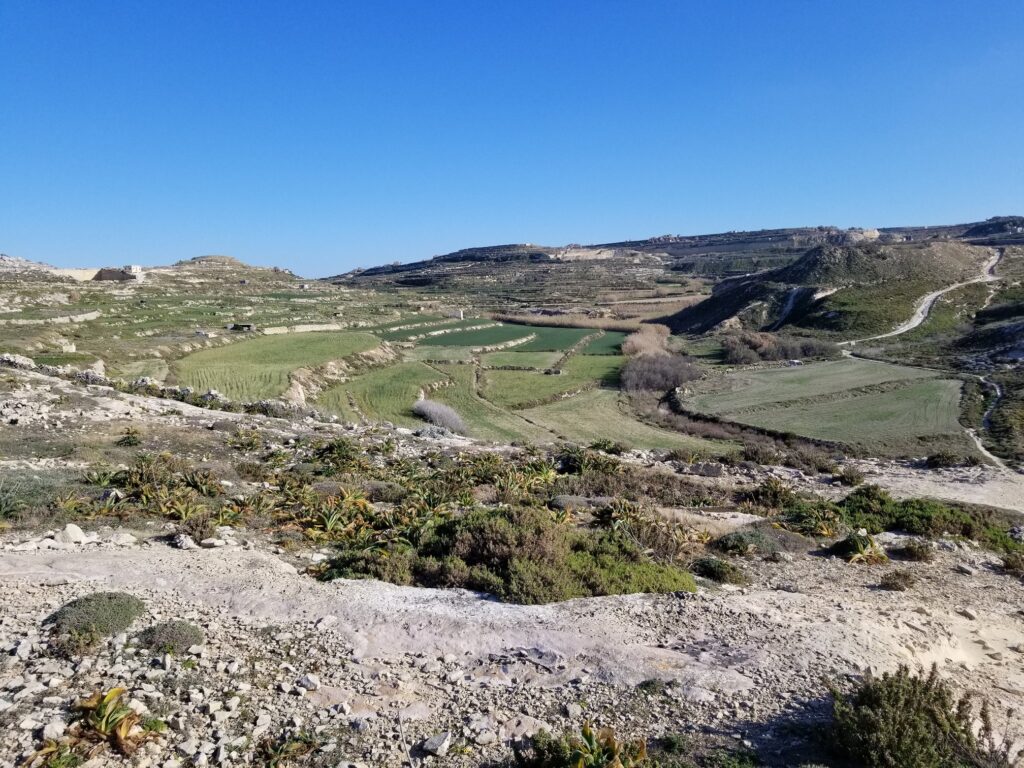 Terraced fields, Gozo, Malta