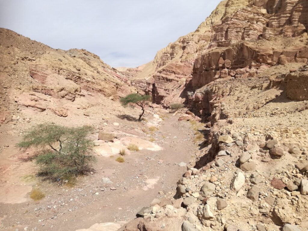 Wadi