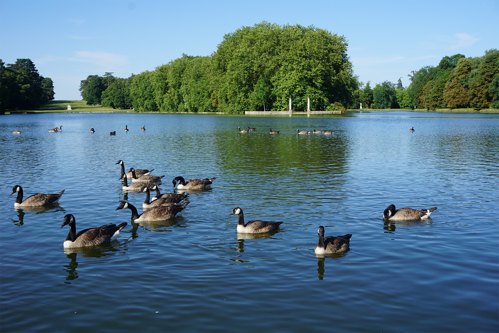 Forest of Rambouillet, France
