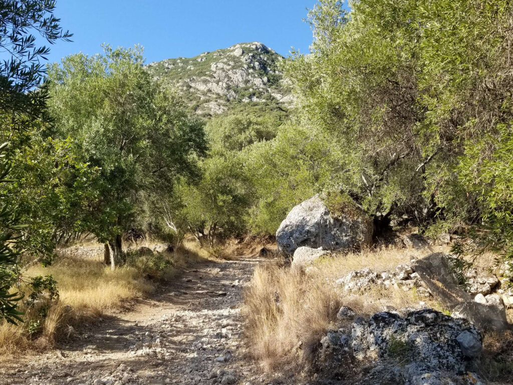 Agios Georgios Corfu Trail