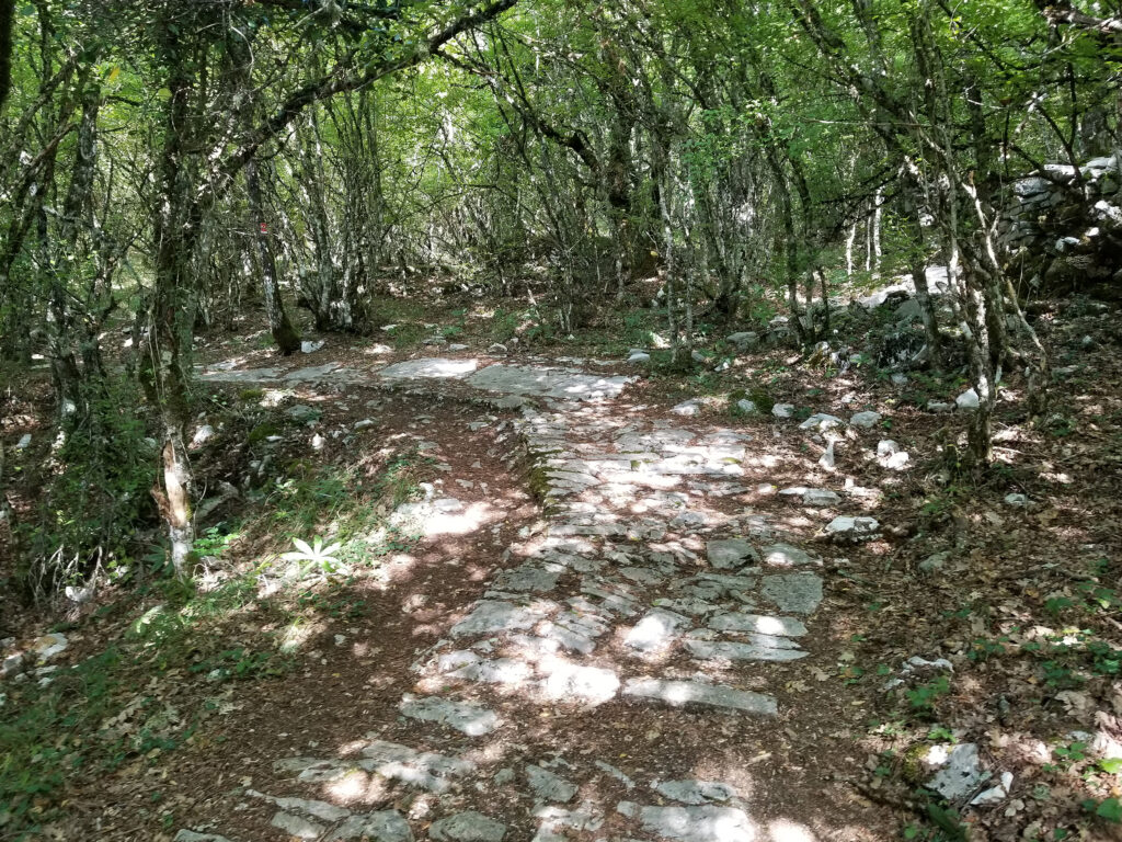 Vikos Trail