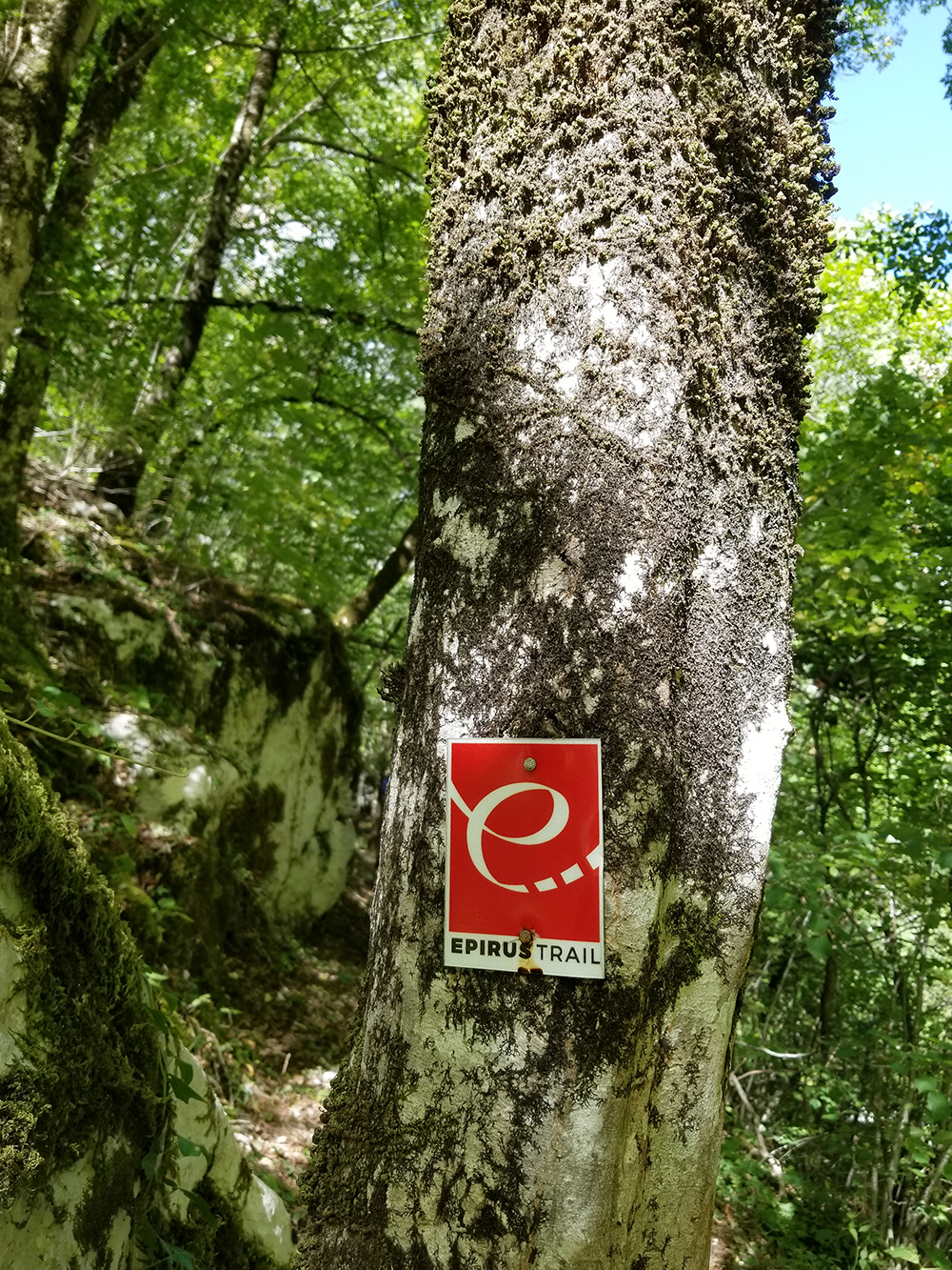 Epirus Trail