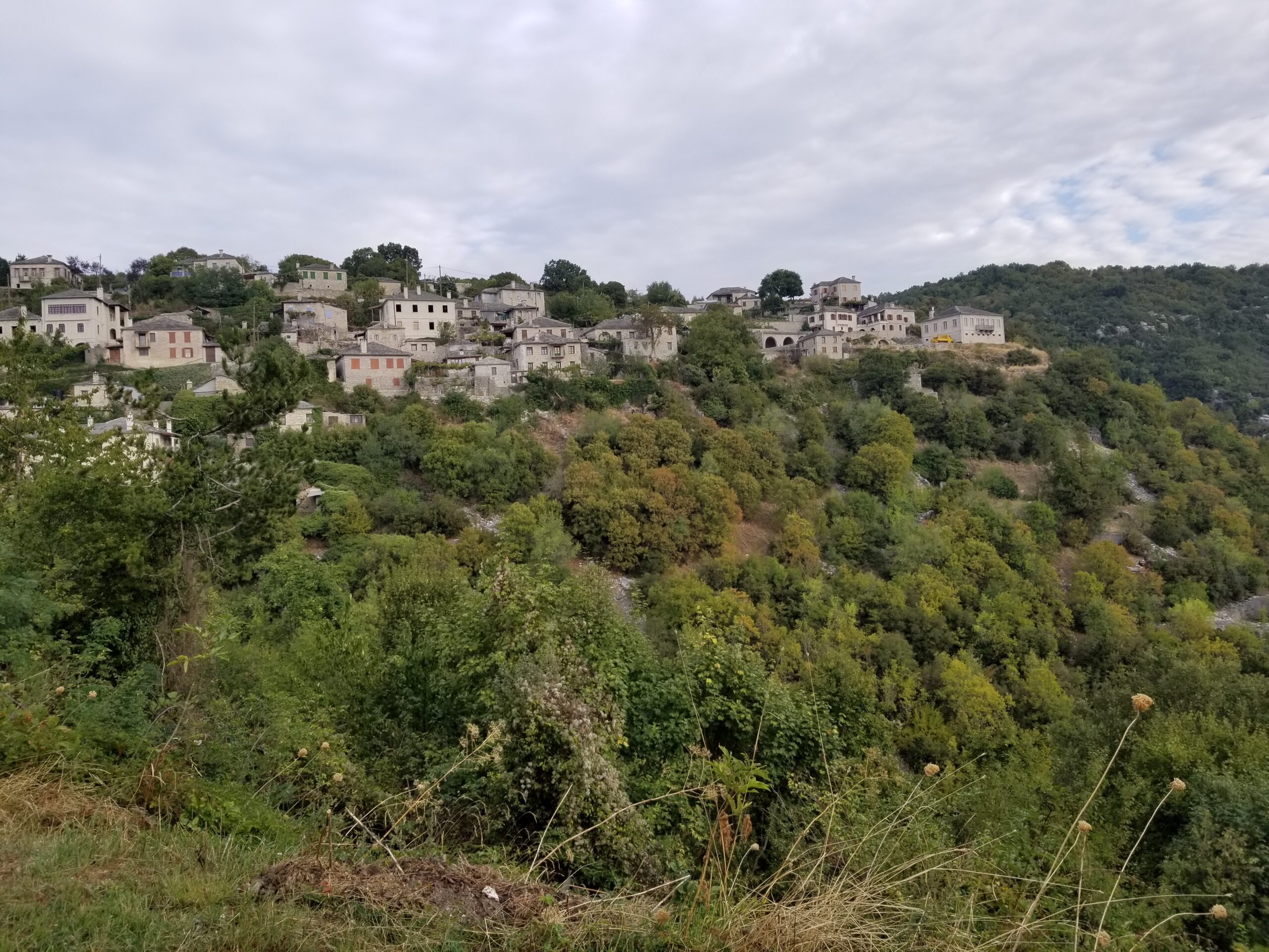 Vitsa bridges Zagori