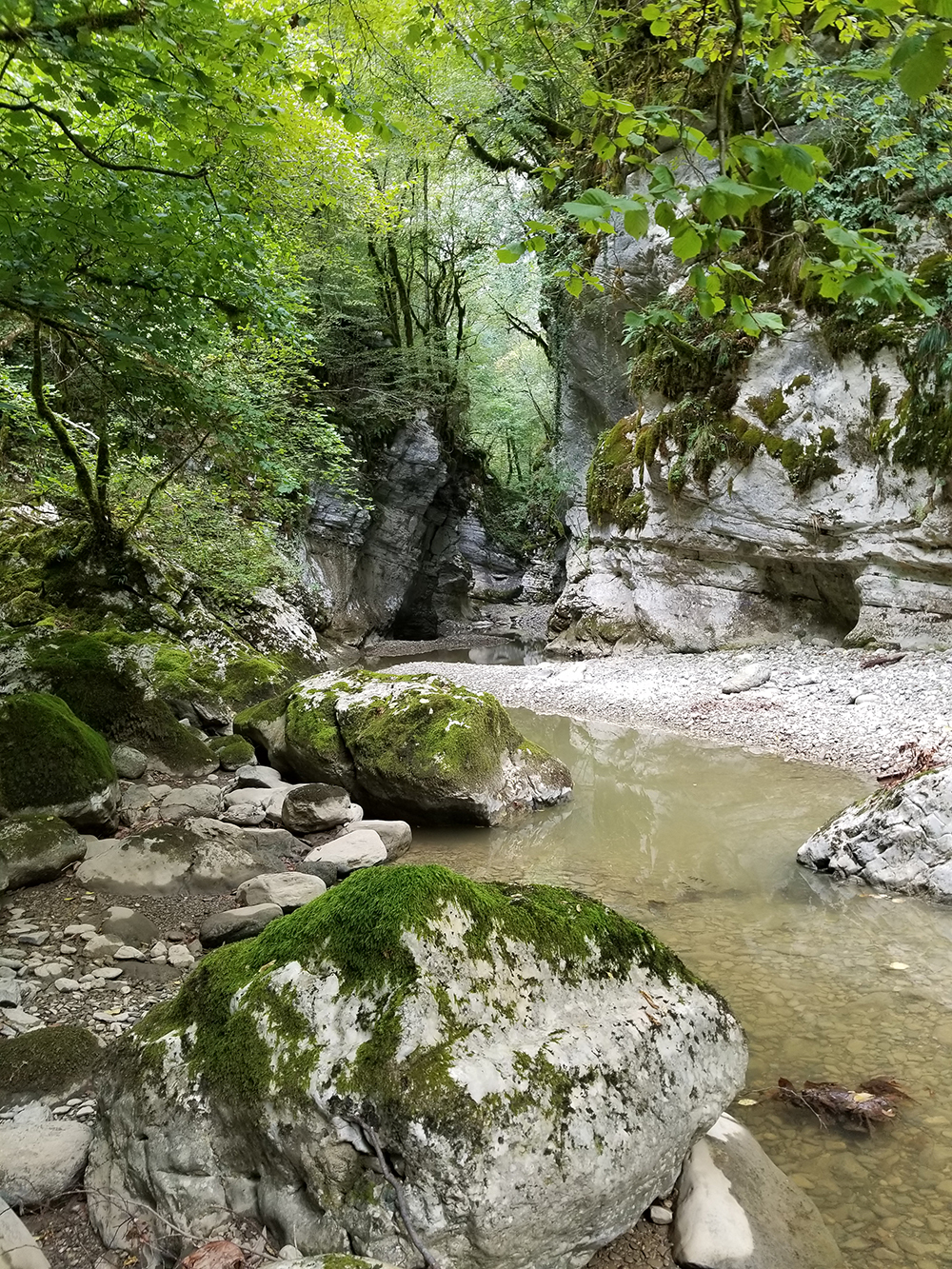 Vikaki gorge Zagori