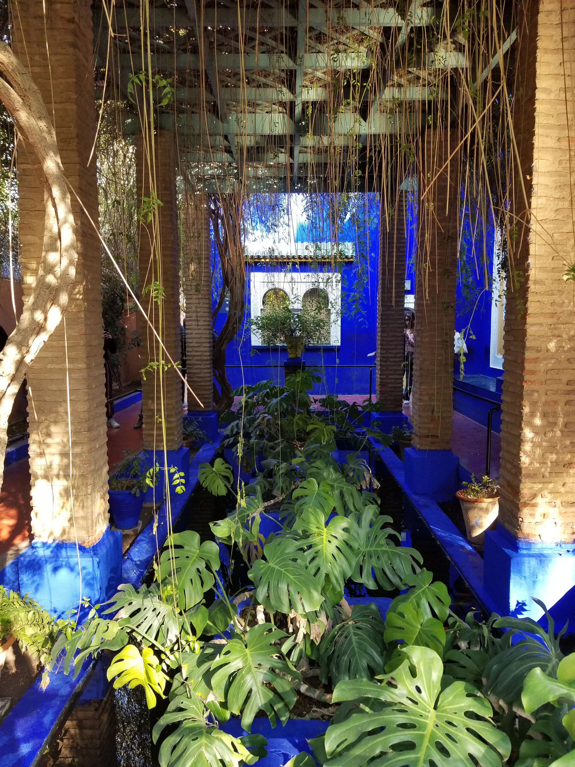 Yves Saint Laurent, Majorelle Garden, Marrakesh