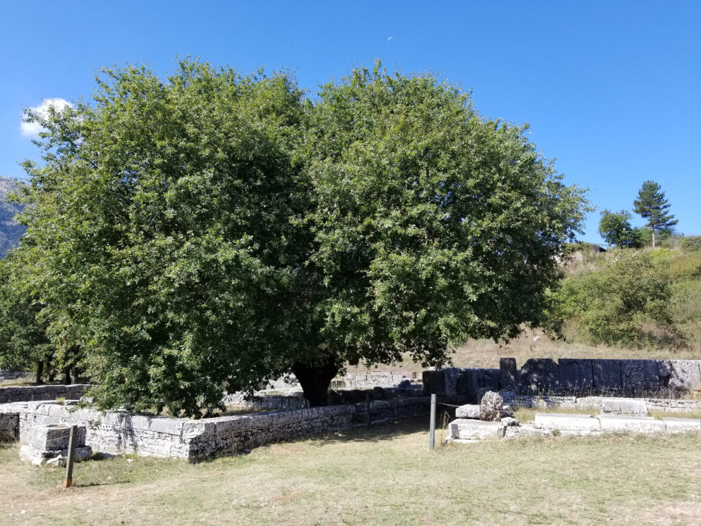 Zeus sanctuary in Dodona