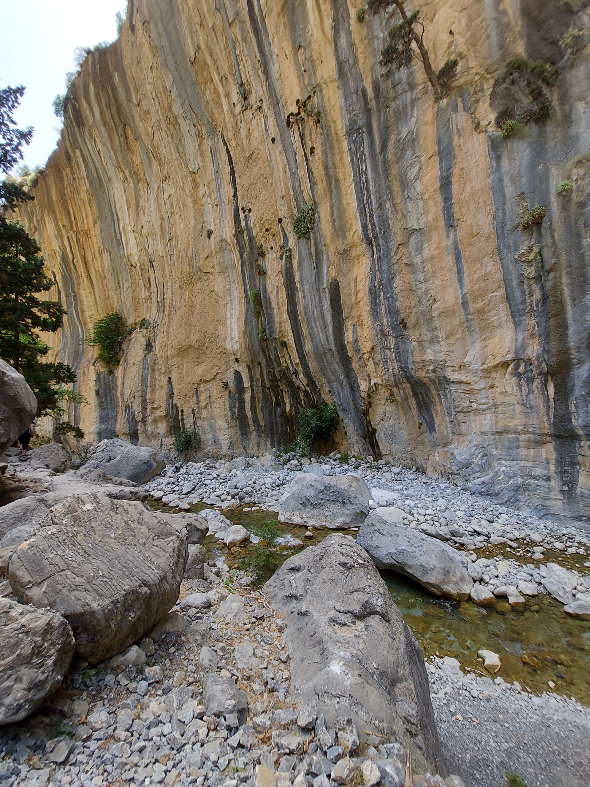 Shapes of the rocks in the canyon