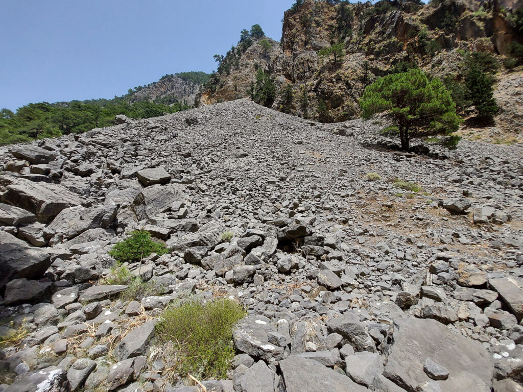 Rocky talus