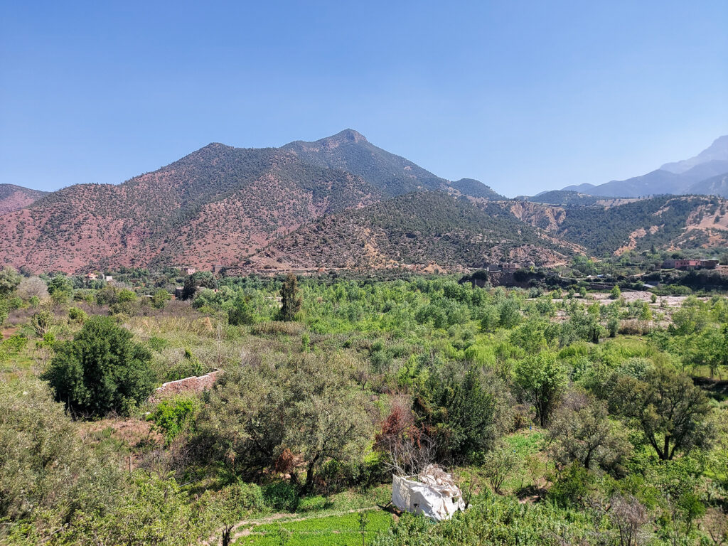 Ourika River in the High Atlas