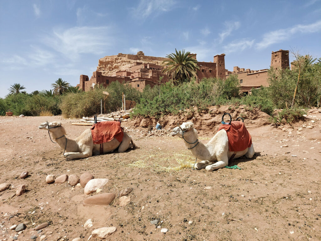 the ksar of Ait Benhaddou, Morocco